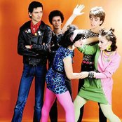 Alaska Y Los Pegamoides - List pictures