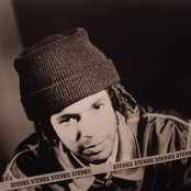 Congo Natty - List pictures