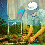 Ducktails - List pictures