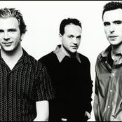 The Push Stars - List pictures