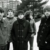 The Coral - List pictures