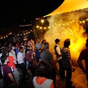 A Giant Dog - List pictures