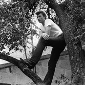 Hallyday Johnny - List pictures