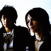 Vamps - List pictures
