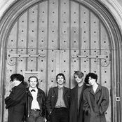 Tribe - List pictures