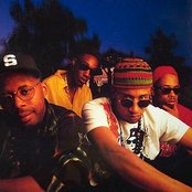Brand Nubian - List pictures