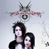 Helalyn Flowers - List pictures