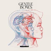Gentle Bones - List pictures
