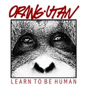 Orang-utan - List pictures