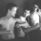 Silkworm - List pictures