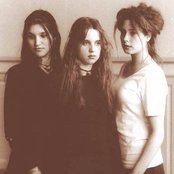 Lais - List pictures