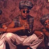 Immature - List pictures