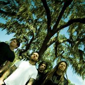 Bloodsimple - List pictures