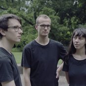 Braids - List pictures