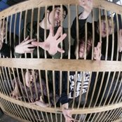 Born Of Osiris - List pictures