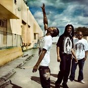 Whole Wheat Bread - List pictures