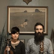 Brown Bird - List pictures