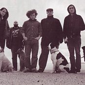 Most Precious Blood - List pictures