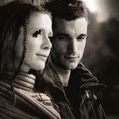 Lamb - List pictures