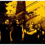 Crown - List pictures