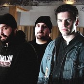 Ducky Boys - List pictures