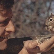 Joe Dassin - List pictures