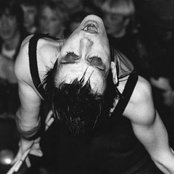 Peter Murphy - List pictures