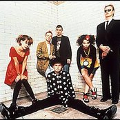 Sugarcubes - List pictures