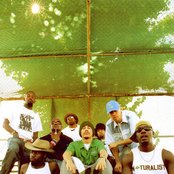 Living Legends - List pictures