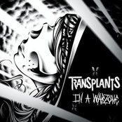 Transplants - List pictures