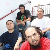 The Steppas - List pictures