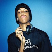 Chipmunk - List pictures