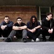 Acid Rain - List pictures