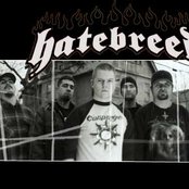 Hatebreed - List pictures