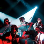 Mother Falcon - List pictures