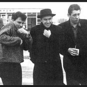 Pogues - List pictures