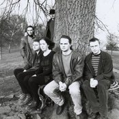 Secret Shine - List pictures