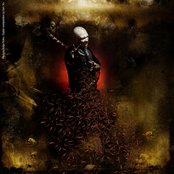 Old Mans Child - List pictures