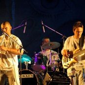 Shannon - List pictures