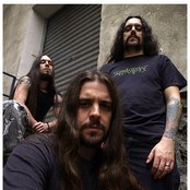 Rhino - List pictures