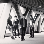 The Rootless - List pictures