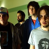 Finch - List pictures