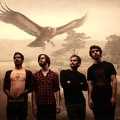 Greys - List pictures