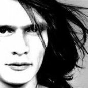 Olive - List pictures