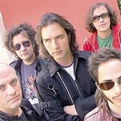 Fobia - List pictures