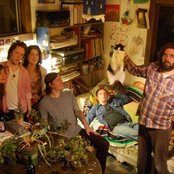 The Fresh & Onlys - List pictures