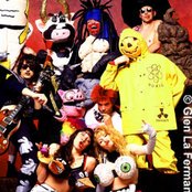 Green Jelly - List pictures