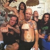 Fight - List pictures