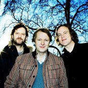 Delillos - List pictures