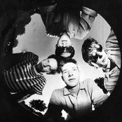 Mccarthy - List pictures